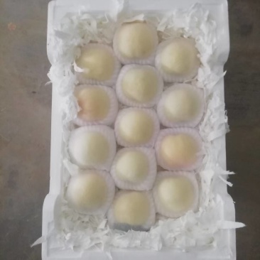 宁陵县突围桃，产地一手货源，量大优惠，可以视频看货，欢迎合作