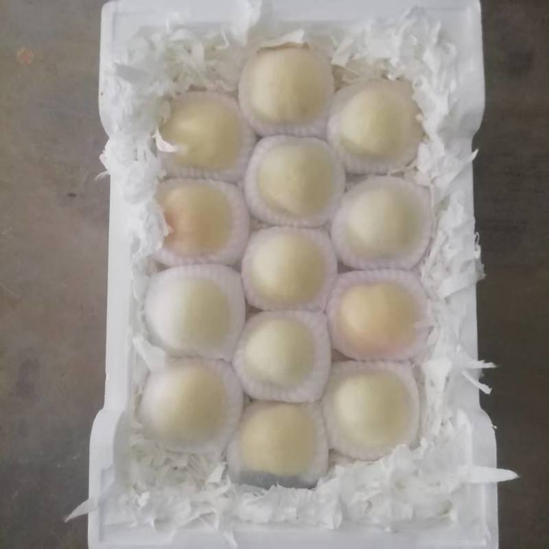 宁陵县突围桃，产地一手货源，量大优惠，可以视频看货，欢迎合作