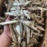 精品水煮白条鱼干地摊电商批发无盐白条鱼干河鱼鱼仔餐条鱼