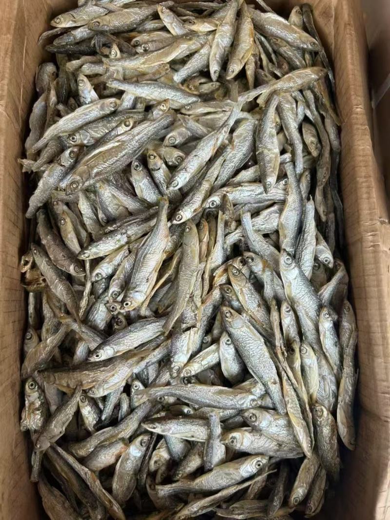 精品水煮白条鱼干地摊电商批发无盐白条鱼干河鱼鱼仔餐条鱼