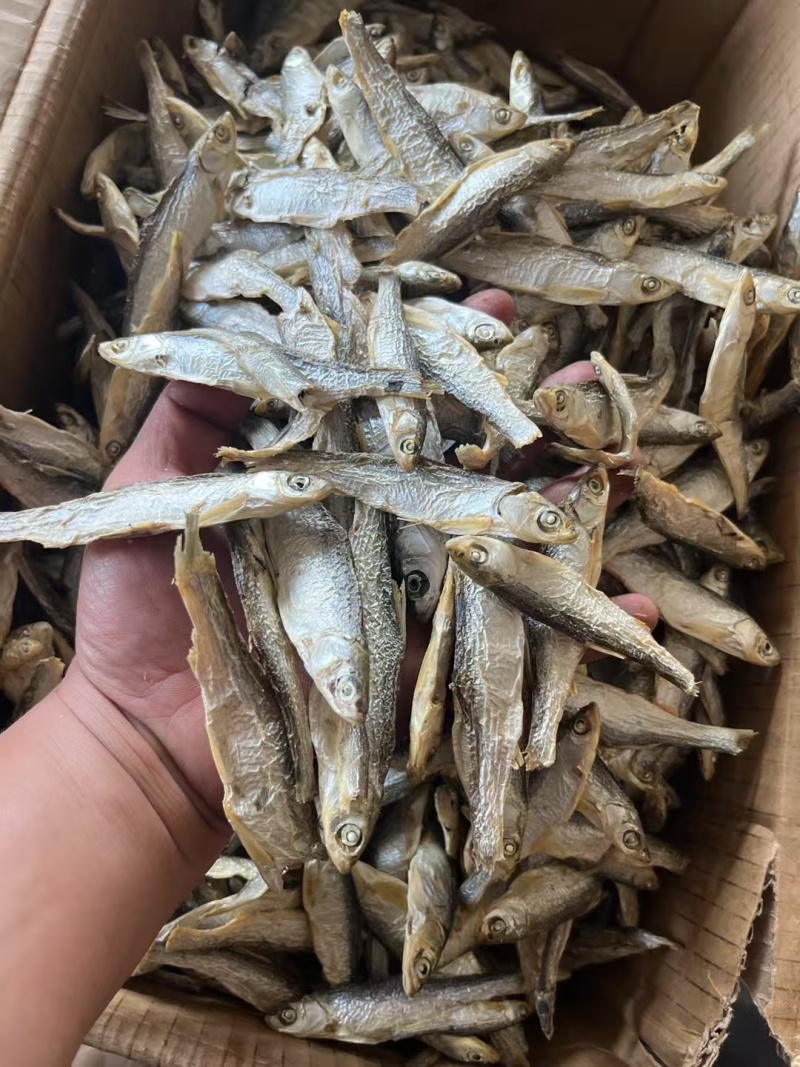 精品水煮白条鱼干地摊电商批发无盐白条鱼干河鱼鱼仔餐条鱼