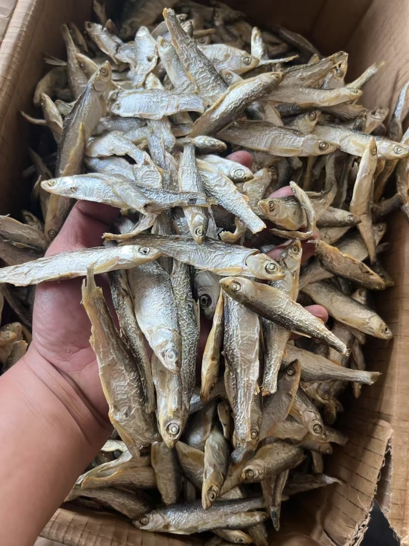 精品水煮白条鱼干地摊电商批发无盐白条鱼干河鱼鱼仔餐条鱼