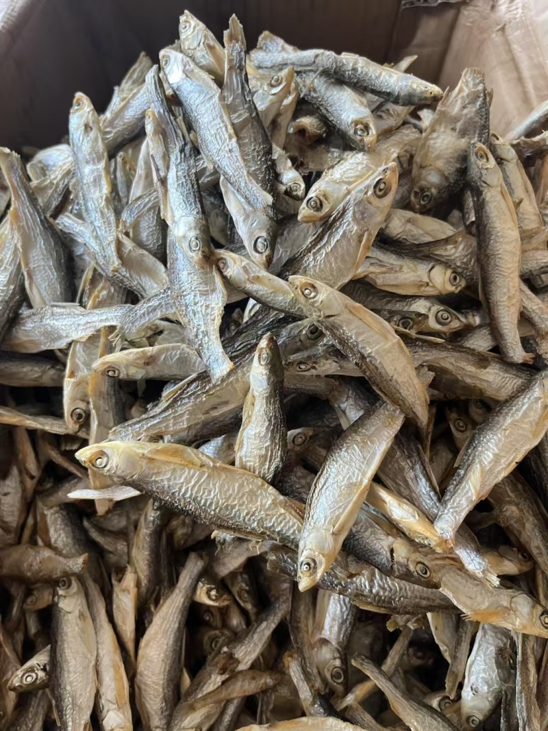 精品水煮白条鱼干地摊电商批发无盐白条鱼干河鱼鱼仔餐条鱼