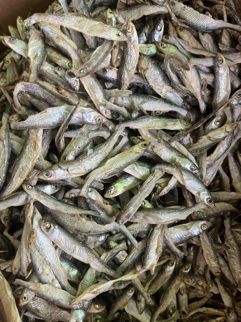 精品水煮白条鱼干地摊电商批发无盐白条鱼干河鱼鱼仔餐条鱼