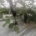 四川遂宁茄子大量上市