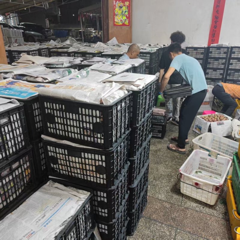 银妃三华李，每天大量供应全国各地，电商平台商超社区团购等