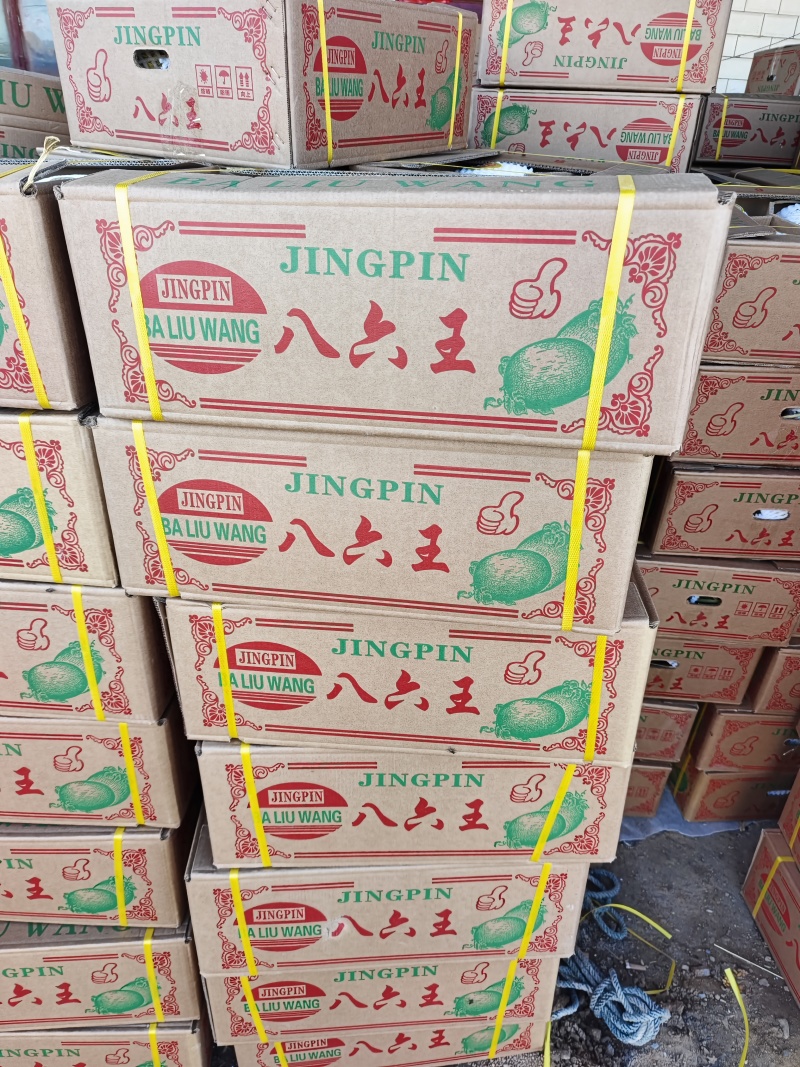 哈密瓜：金色年华西州蜜晓密八六王子鼎蜜金红宝银帝
