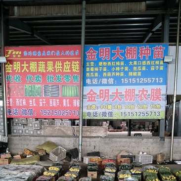 蔬菜瓜果