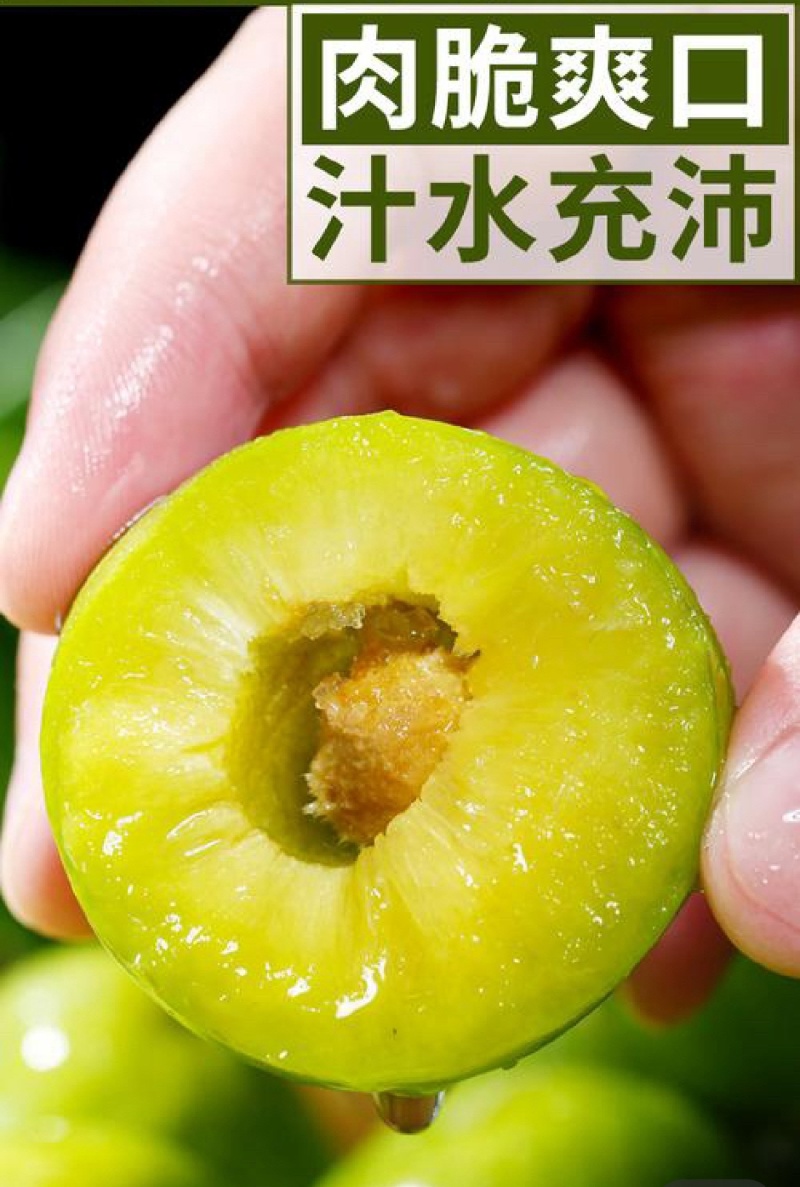四川清脆李，纯甜无酸脱核，可供全国电商商超社区团购等