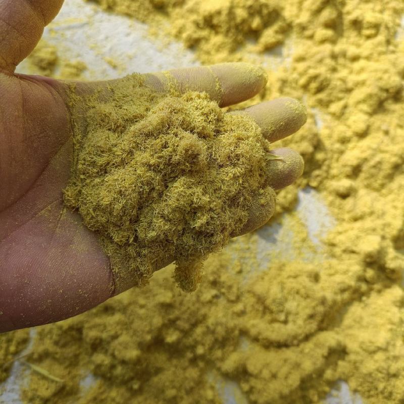 蒲黄，优质好货，新货