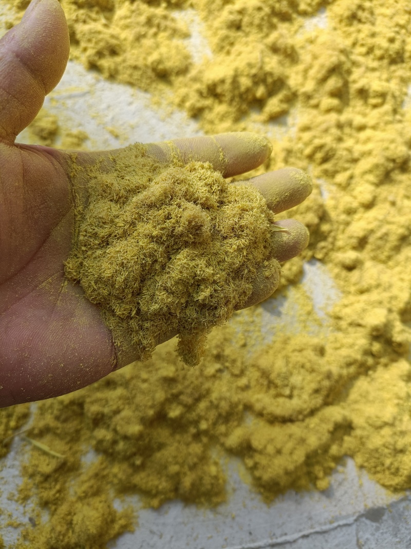 蒲黄，优质好货，新货
