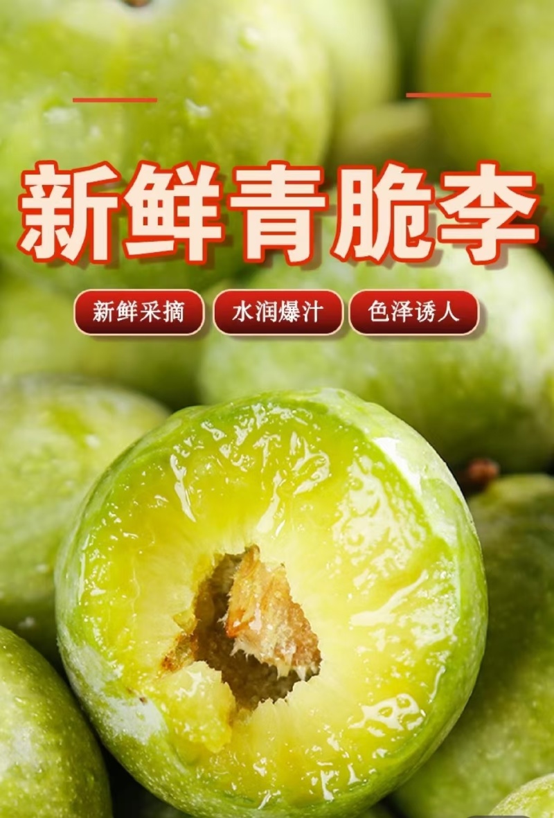 四川五月脆李，纯甜无酸，当天采摘发货，品质保证，诚信经营
