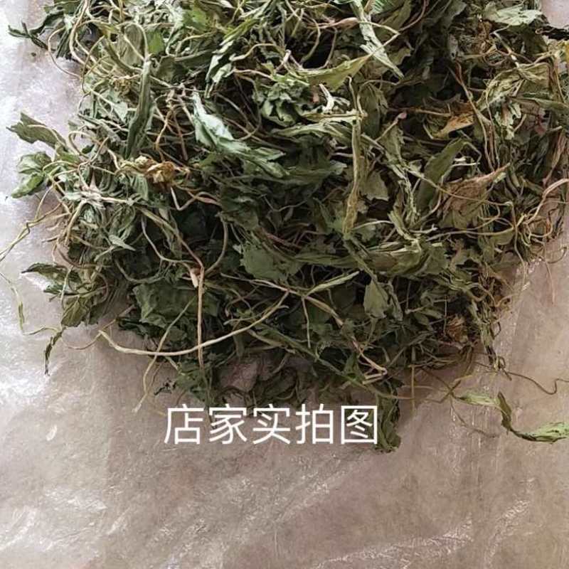食用食品级食叶草干叶烘干晒干炒涮炖煮水可磨粉蛋白草美味