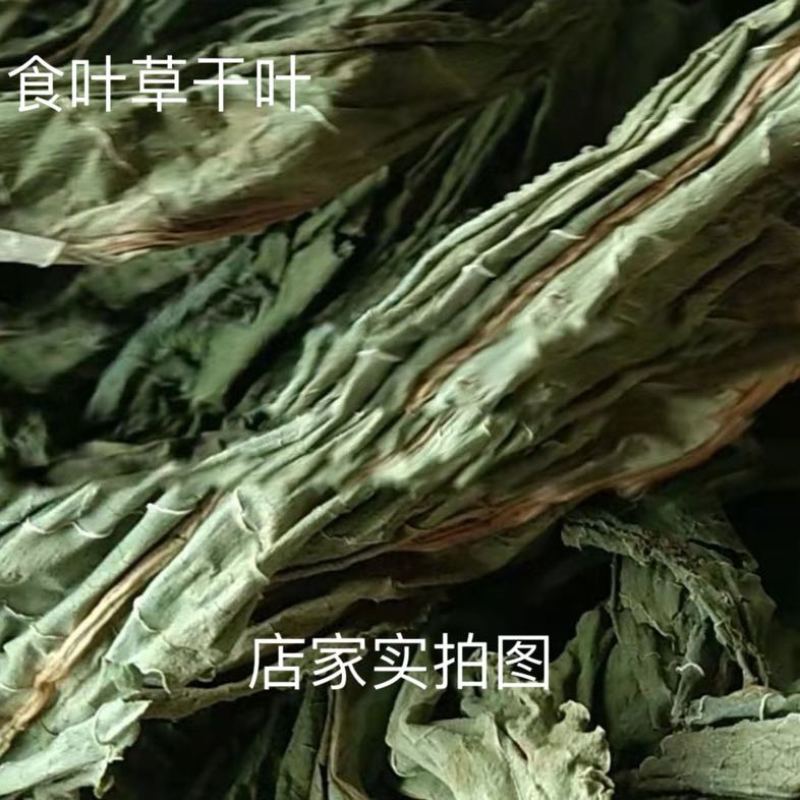 食用食品级食叶草干叶烘干晒干炒涮炖煮水可磨粉蛋白草美味