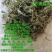 食用食品级食叶草干叶烘干晒干炒涮炖煮水可磨粉蛋白草美味
