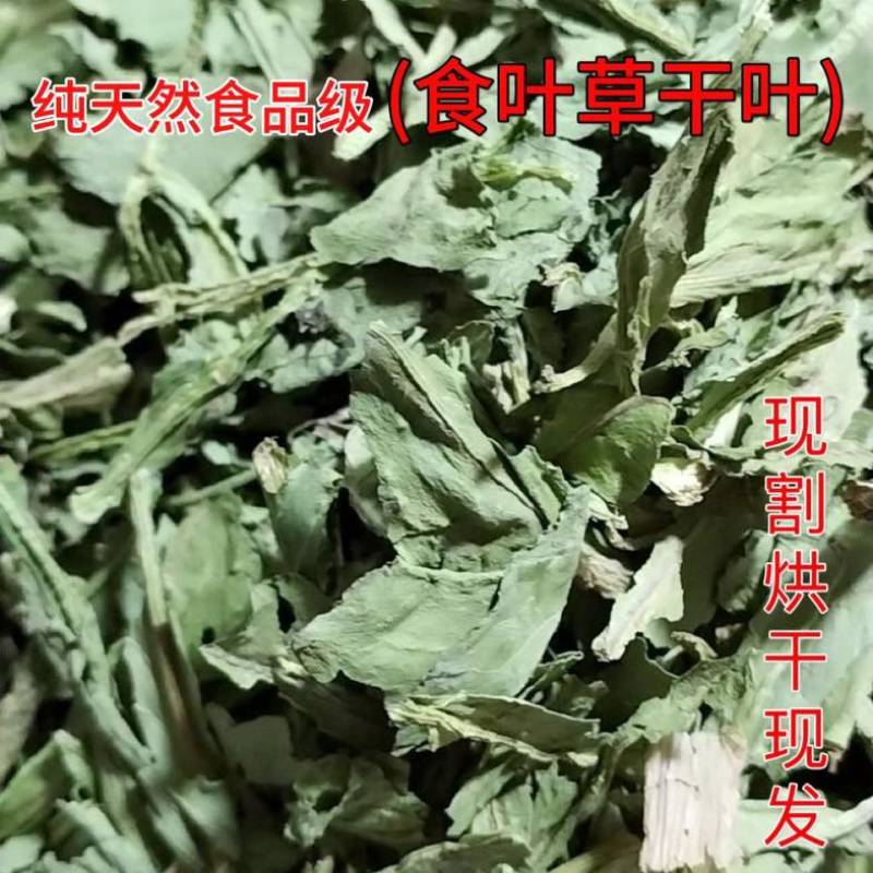 食用食品级食叶草干叶烘干晒干炒涮炖煮水可磨粉蛋白草美味