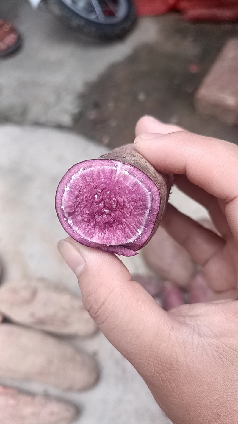 粉甜的紫薯