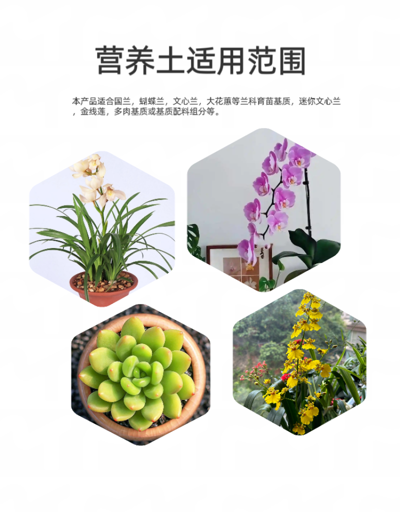 发酵松树皮，营养土，松皮松鳞，蓝莓种植基质，厂家直供
