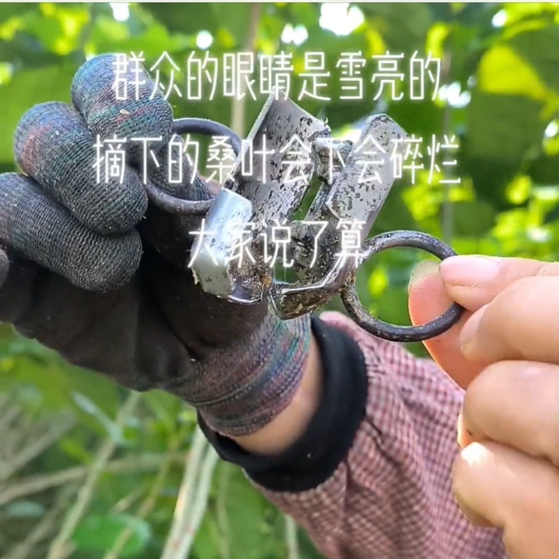 桑树刮叶刀叶子刮叶器桑叶快速采摘收集神器工具新款电度