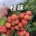 桂味荔枝广西荔枝产地一手货源，大吨位供货，对接电商市场