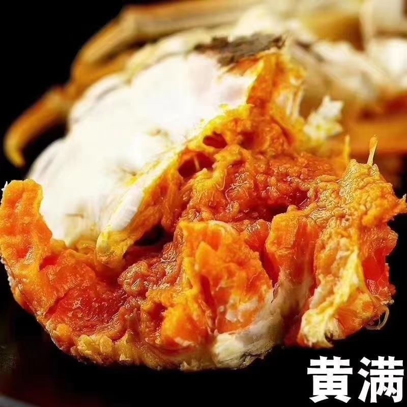 螃蟹苗大闸蟹蟹苗毛蟹蟹苗扣蟹蟹苗.提供技术视频看货