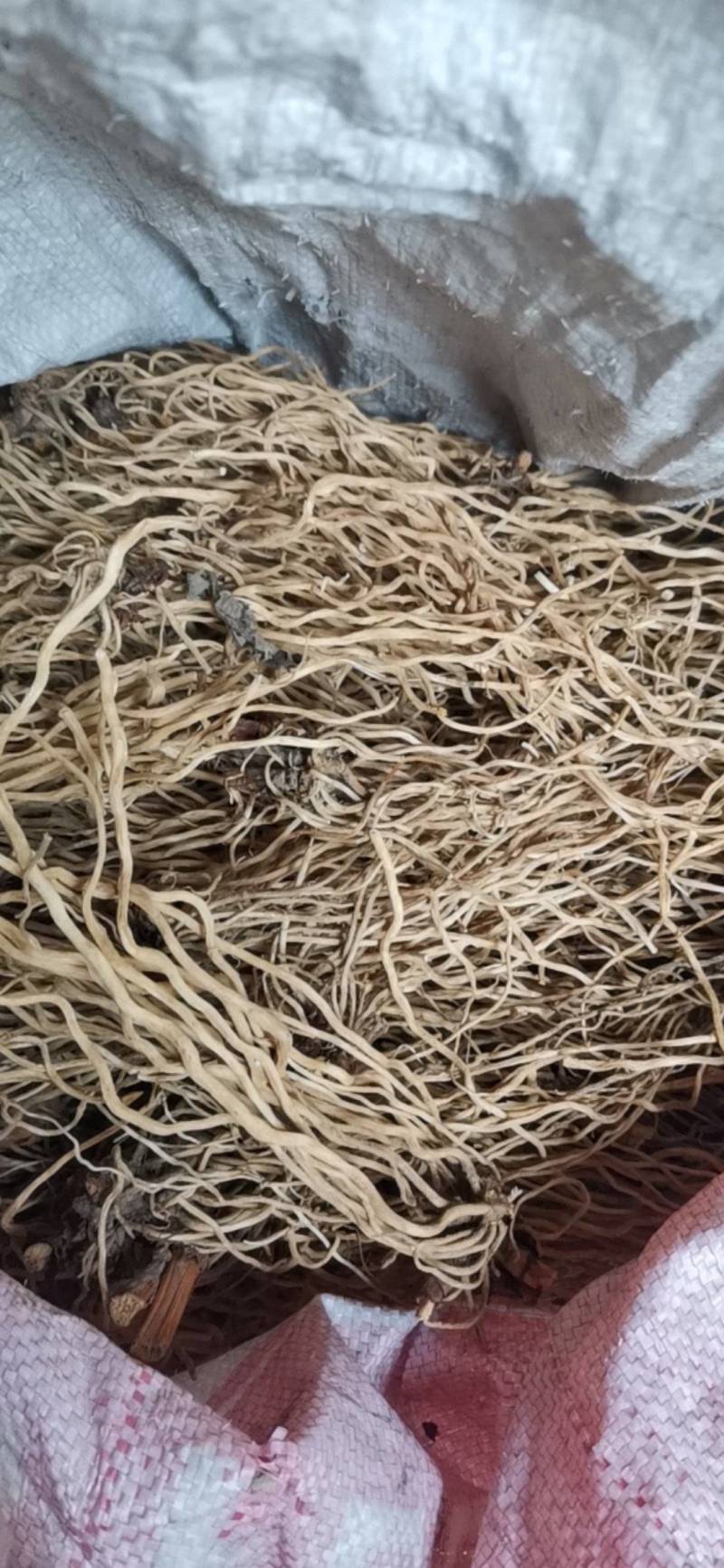 万寿竹根，水洗，带芦头，色白，无硫，足干