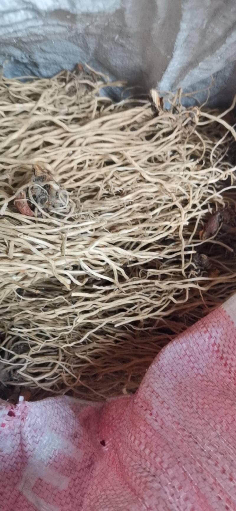 万寿竹根，水洗，带芦头，色白，无硫，足干