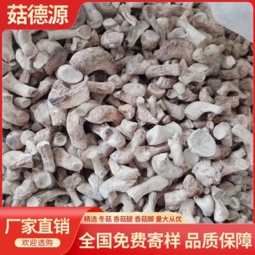 西峡优质精选双剪香菇腿干净无杂食品厂包子店用包邮