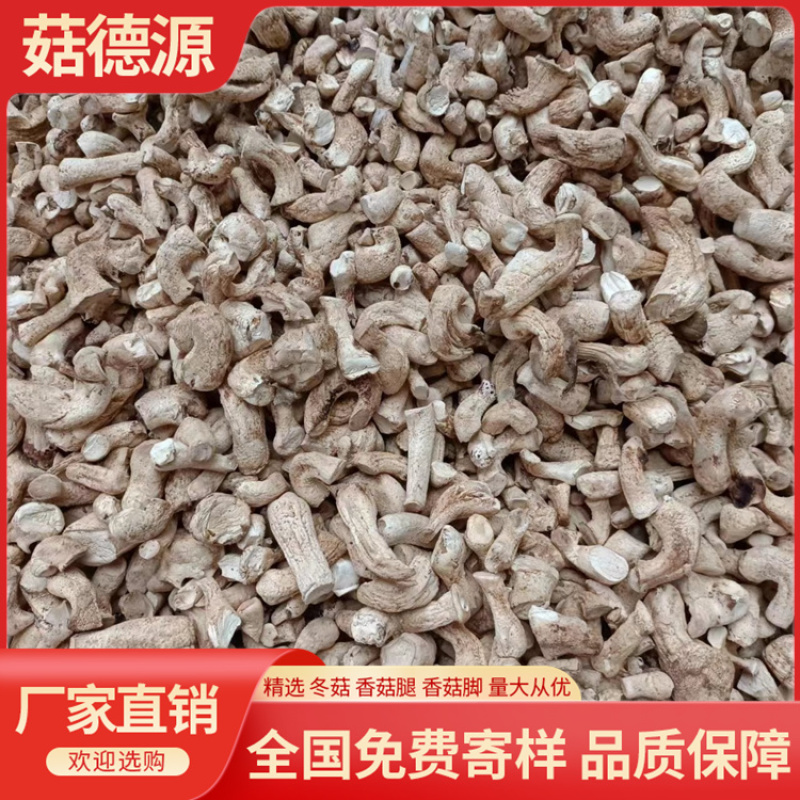 西峡优质精选双剪香菇腿干净无杂食品厂包子店用包邮