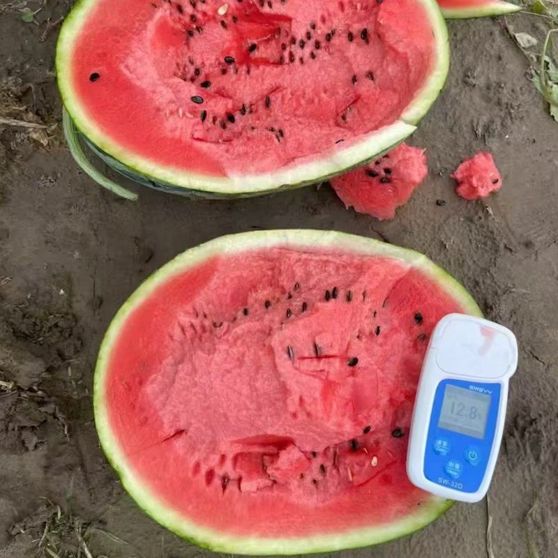 吉林地雷西瓜