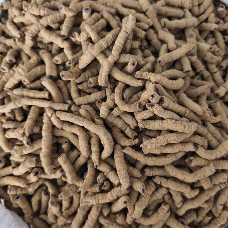 无硫巴戟天巴戟肉批发各种中药材新货各种规格
