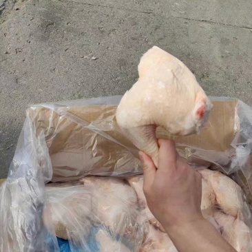 种鸡边腿工厂直接发货货源充足全国各地都能发货