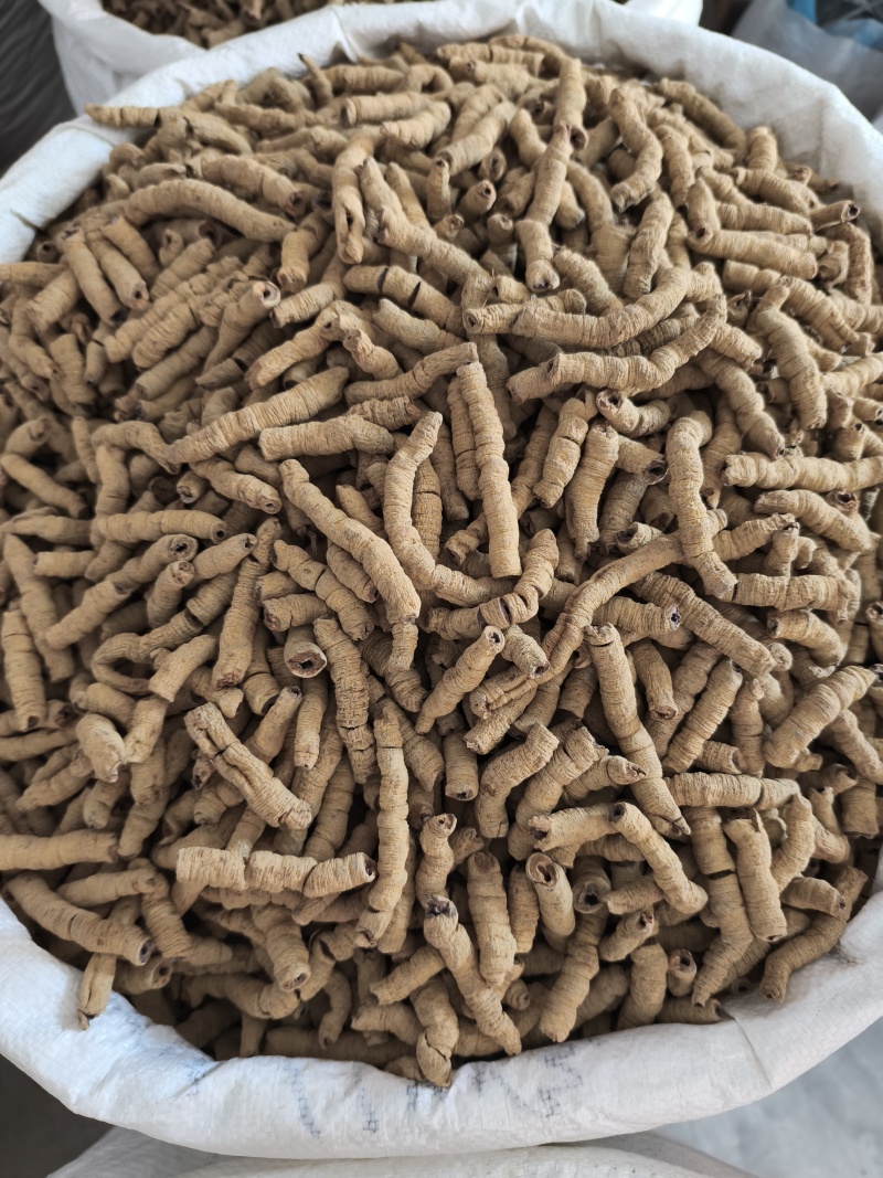 无硫巴戟天巴戟肉批发各种中药材新货各种规格