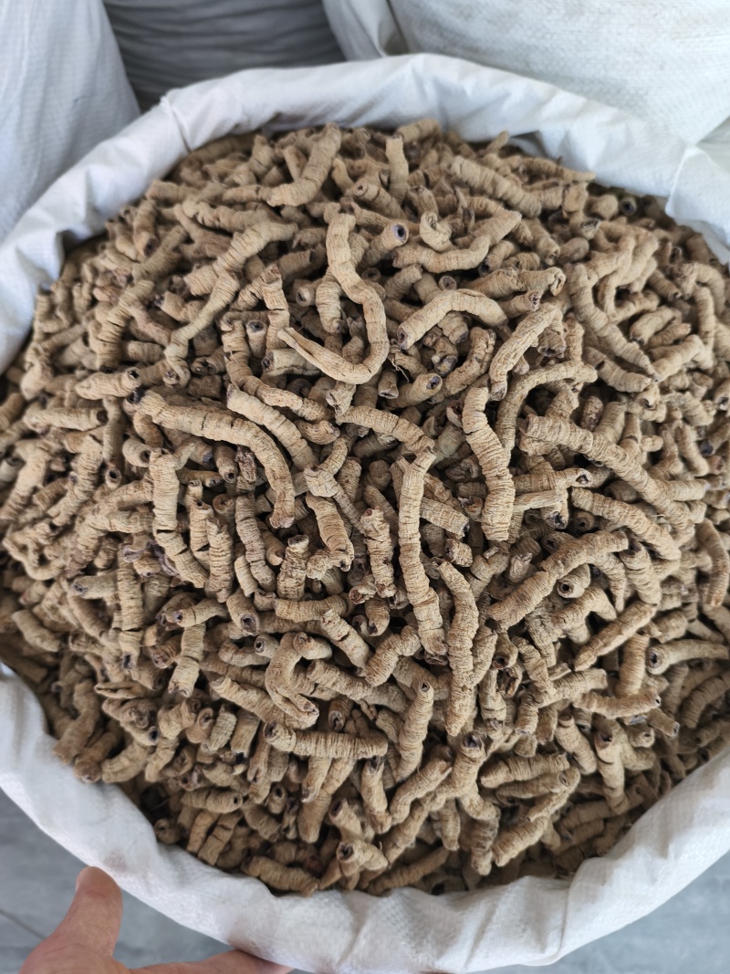 无硫巴戟天巴戟肉批发各种中药材新货各种规格