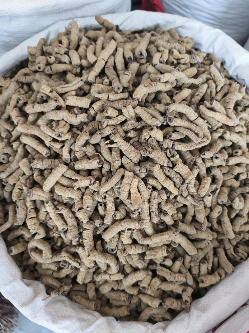 无硫巴戟天巴戟肉批发各种中药材新货各种规格