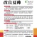 改良夏帅早熟黄心大白菜种子春秋包心快白菜高产抗病耐热农户