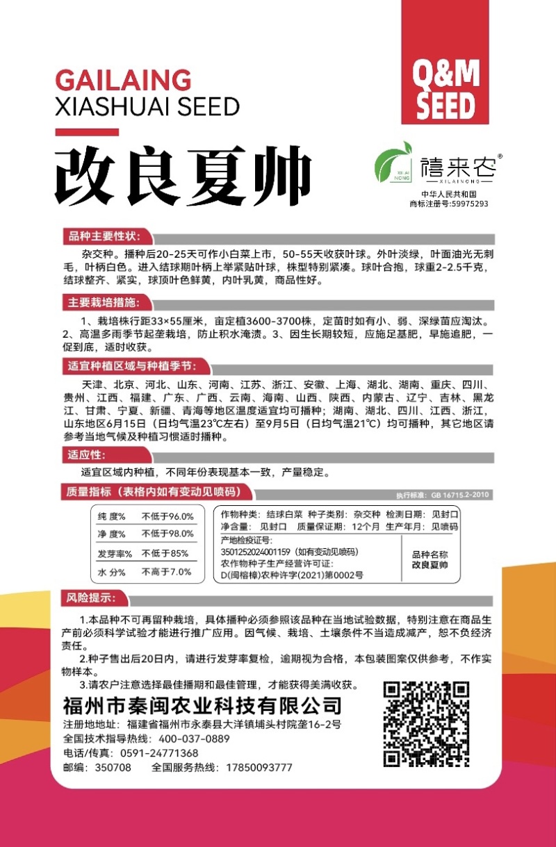 改良夏帅早熟黄心大白菜种子春秋包心快白菜高产抗病耐热农户
