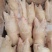 二级猪蹄