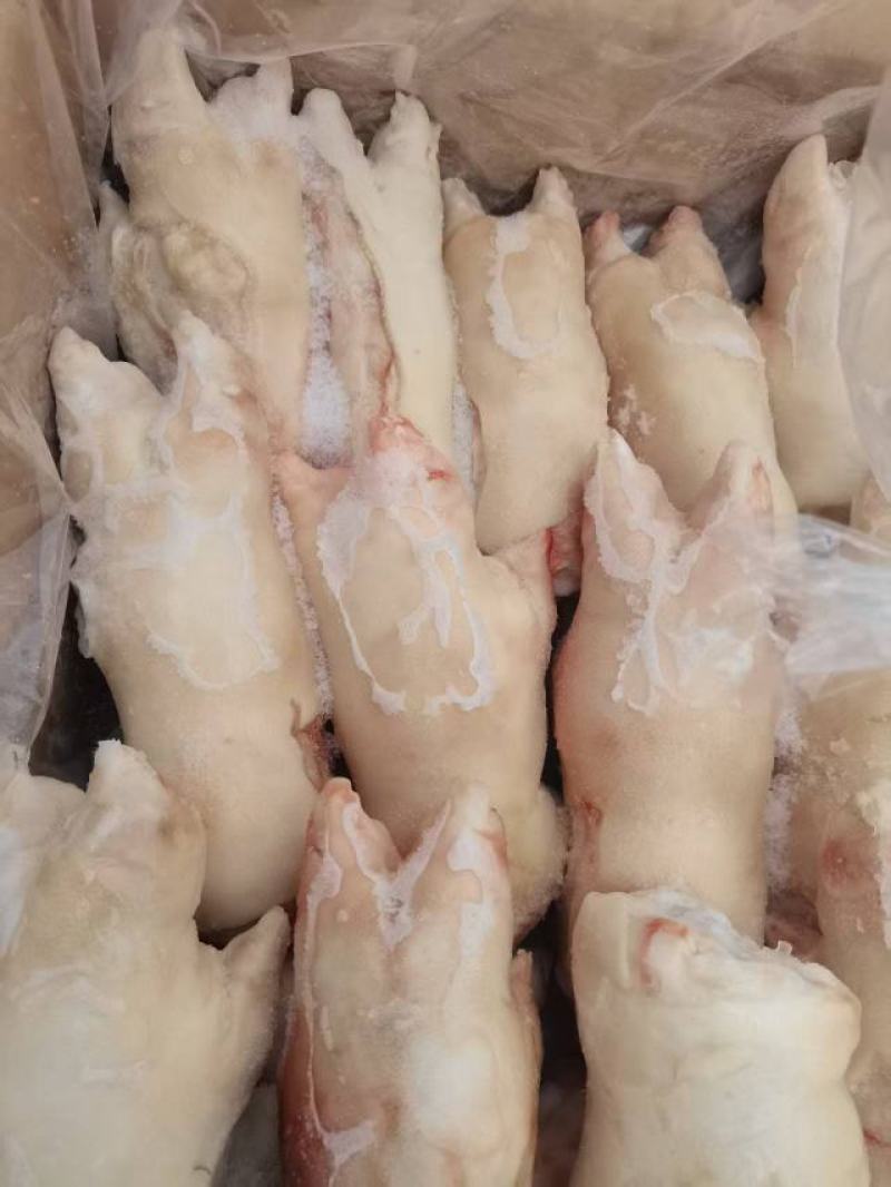 二级猪蹄
