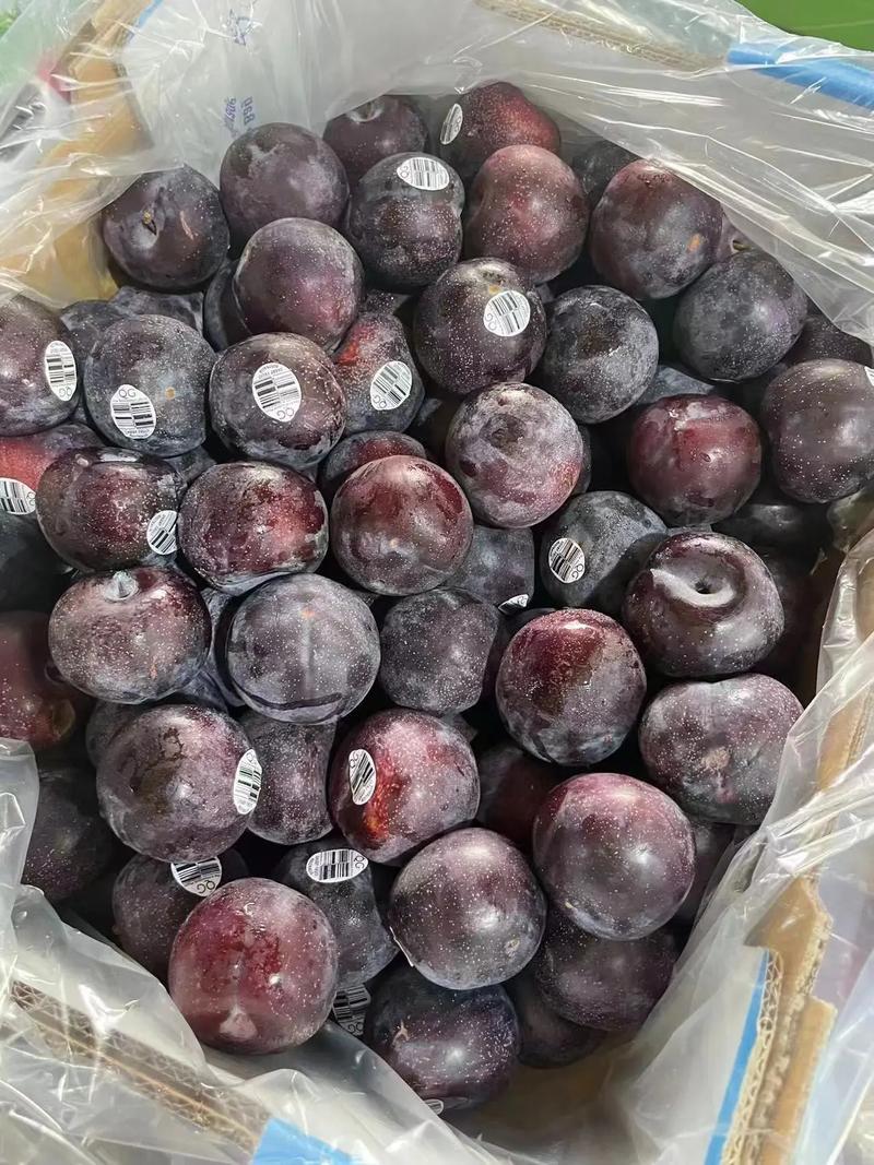 【强推】湖北李子大量上市澳洲红八宝丹红宝石五月脆品种齐全