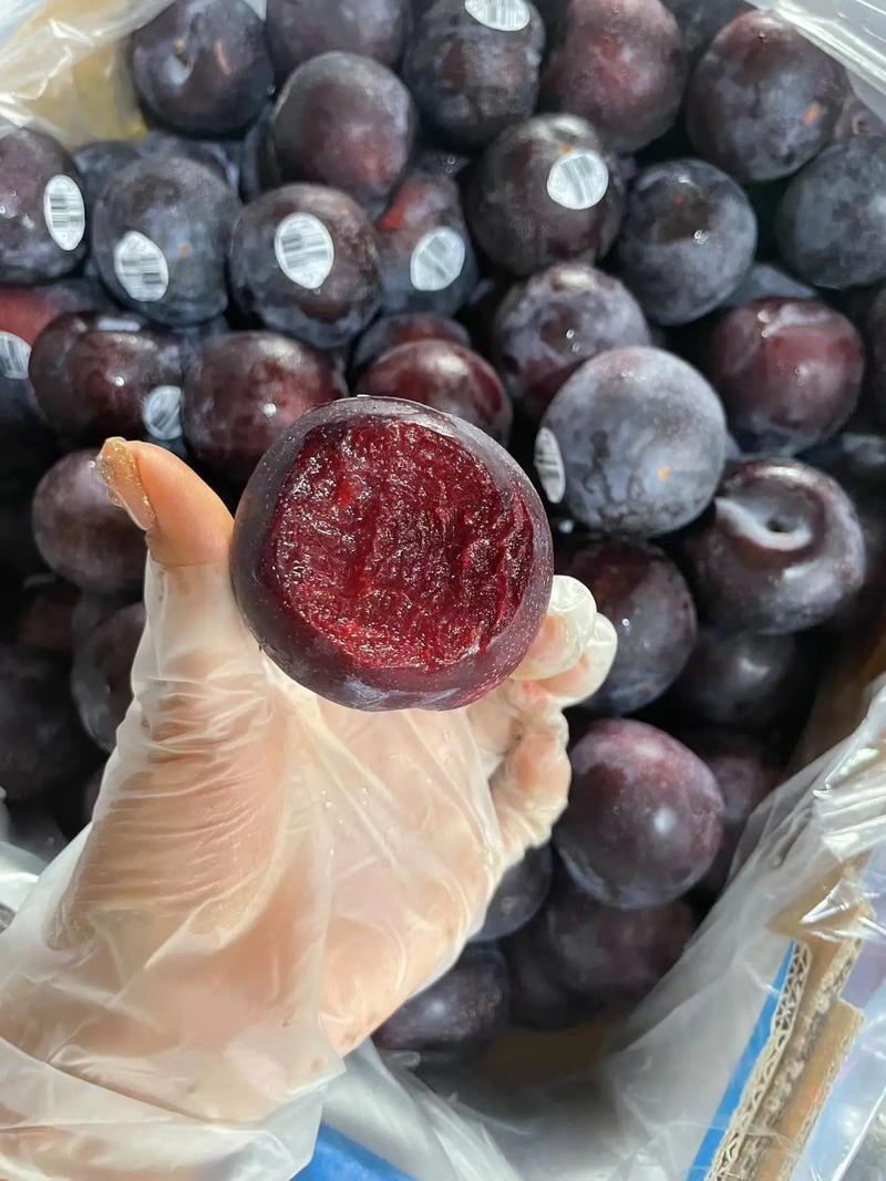 【强推】湖北李子大量上市澳洲红八宝丹红宝石五月脆品种齐全