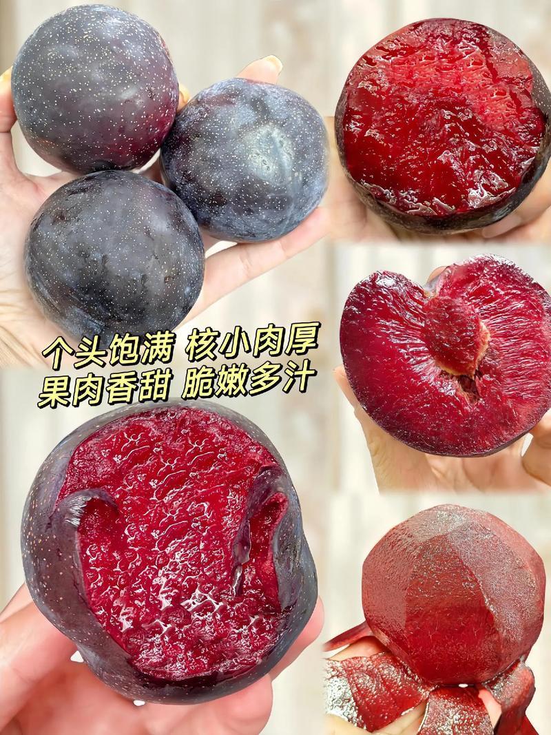 【强推】湖北李子大量上市澳洲红八宝丹红宝石五月脆品种齐全