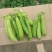 吉林豌豆大量上市需要的老板前来采购