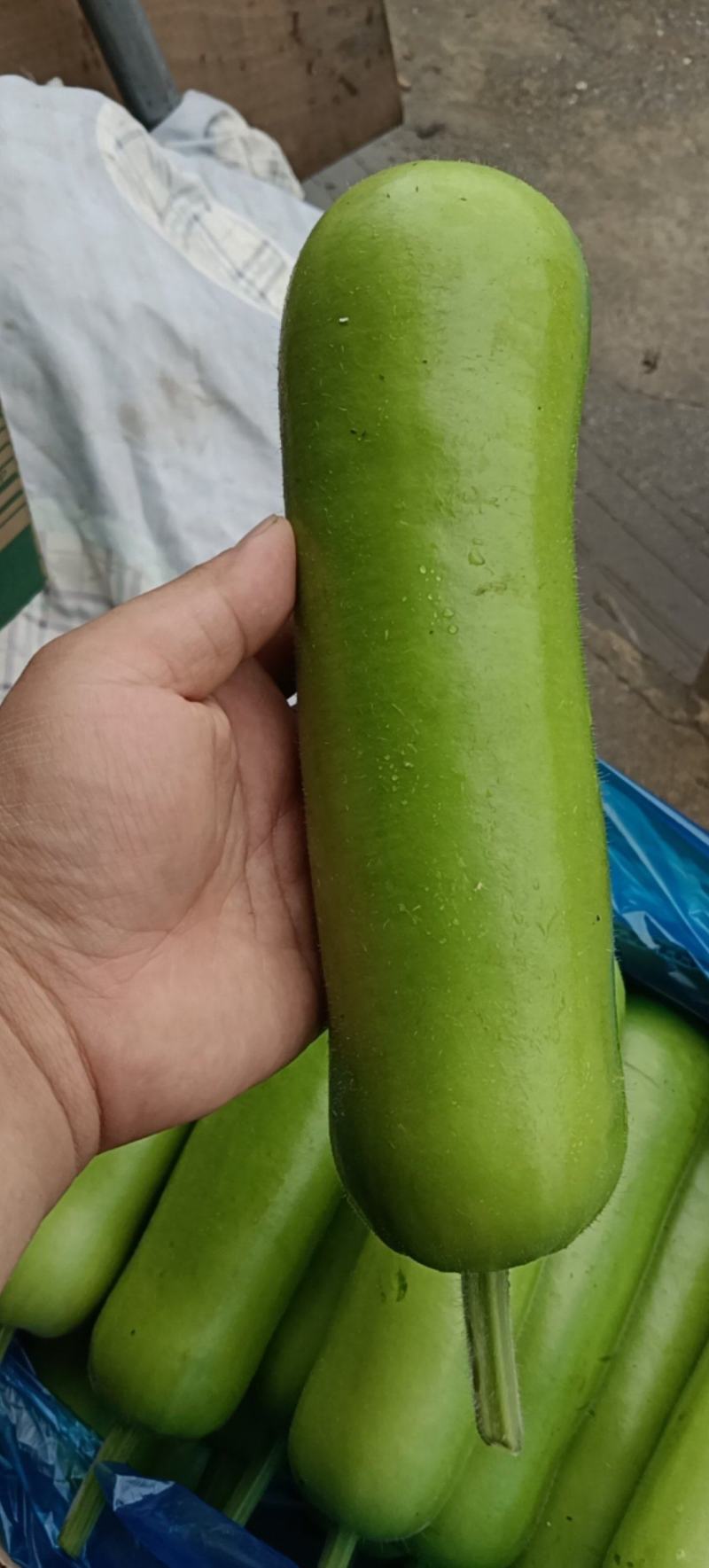 叶开花