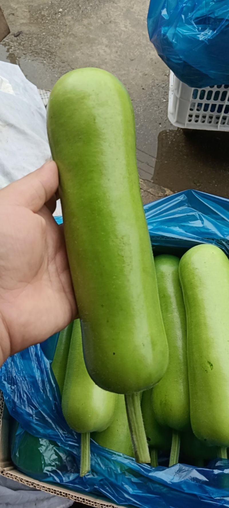 叶开花