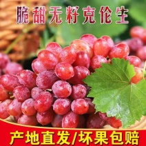 《克伦生葡萄》产地直发/全国供应批发