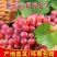 《克伦生葡萄》产地直发/全国供应批发