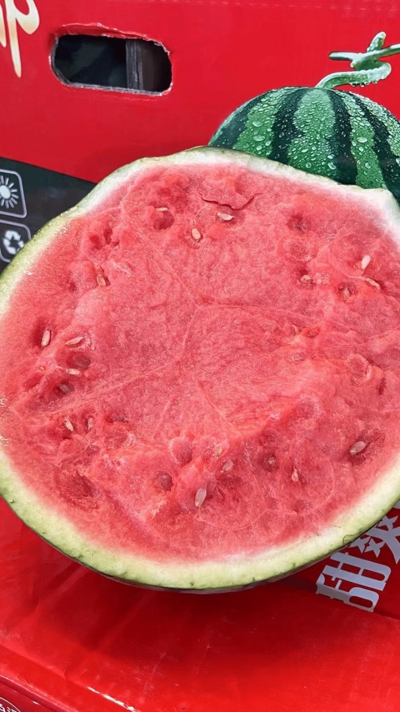 【实力】河南开封精品美都西瓜产地直发可对接各大商超