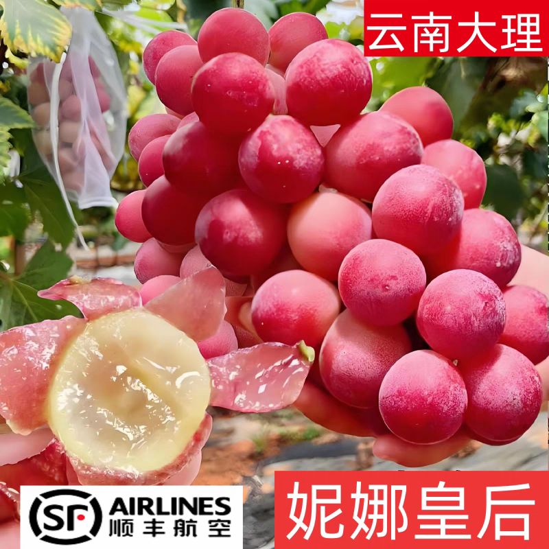 《妮娜皇后葡萄》/产地直发/全国供应