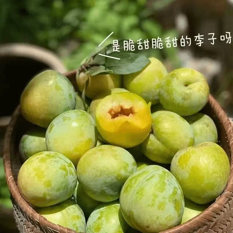 云南精品青脆李一件代发抖音快手淘宝京东拼多多等电商平台